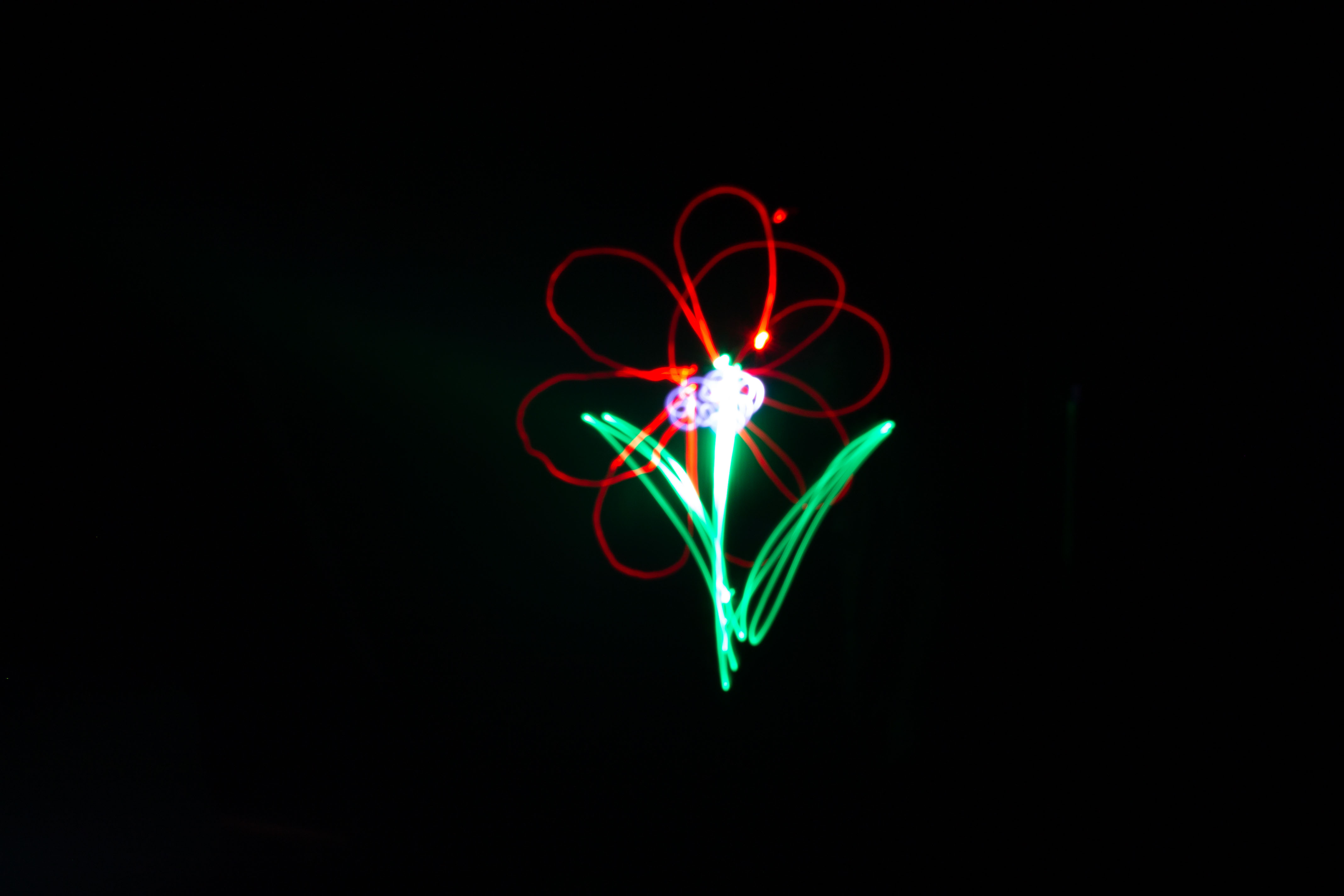 Light Flower