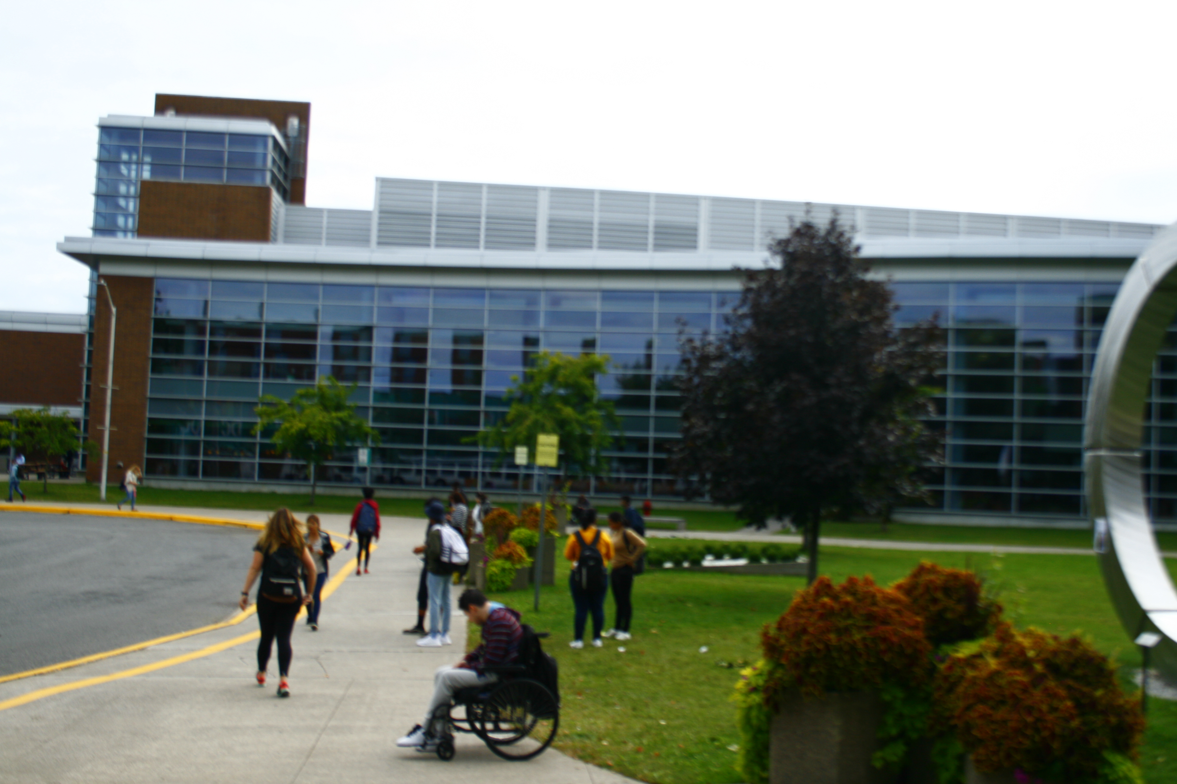 DC Campus Bus Loop Landscape